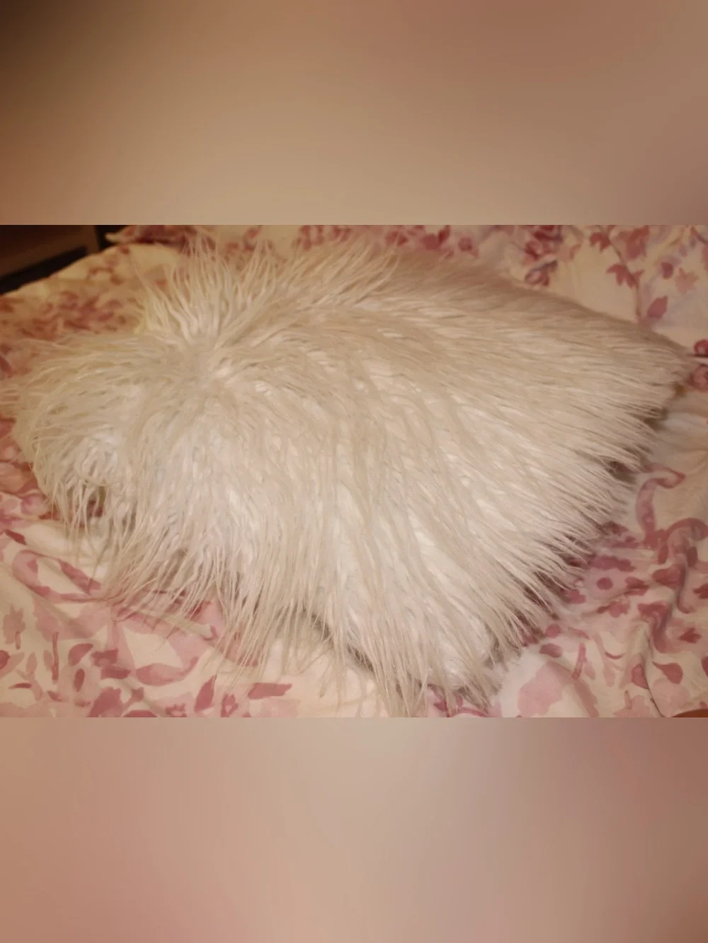 EUC Faux Fur Pillow Cover With Insert